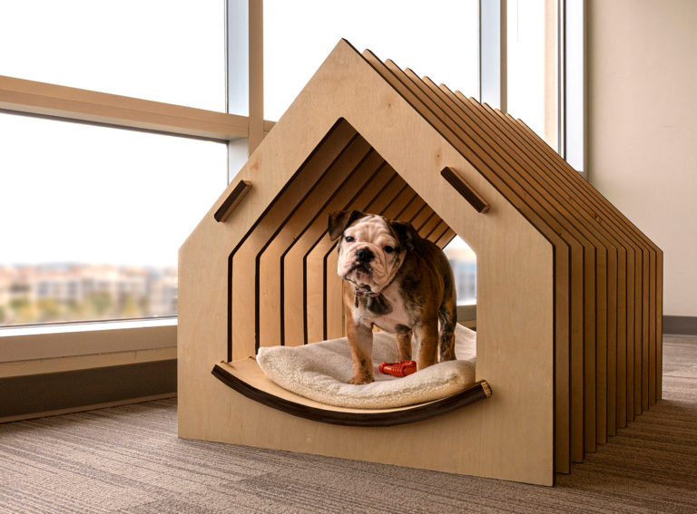 Teacup Pup – Dallas Bark + Build